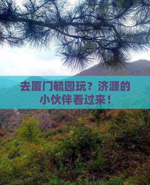 去厦门毓园玩？济源的小伙伴看过来！