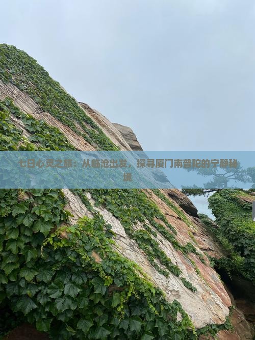 七日心灵之旅：从临沧出发，探寻厦门南普陀的宁静秘境