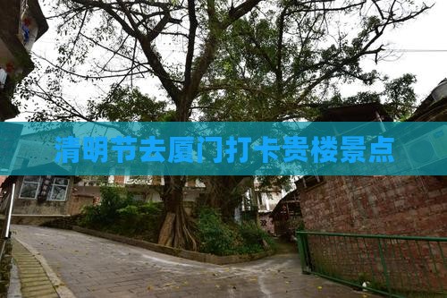 清明节去厦门打卡贵楼景点 清明节去厦门打卡贵楼景点