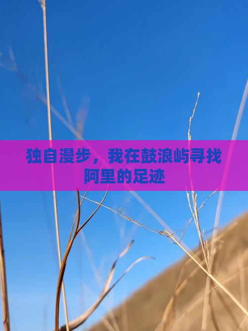 独自漫步，我在鼓浪屿寻找阿里的足迹
