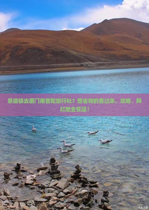 景德镇去厦门南普陀旅行社？想省钱的看过来，攻略、网红地全在这！