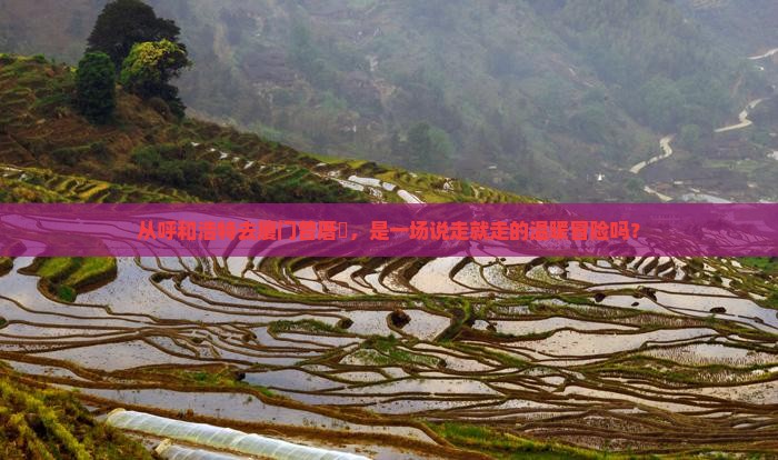 从呼和浩特去厦门曾厝垵，是一场说走就走的温暖冒险吗？