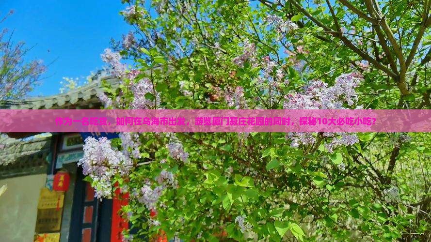 作为一名吃货，如何在乌海市出发，游览厦门菽庄花园的同时，探秘10大必吃小吃？