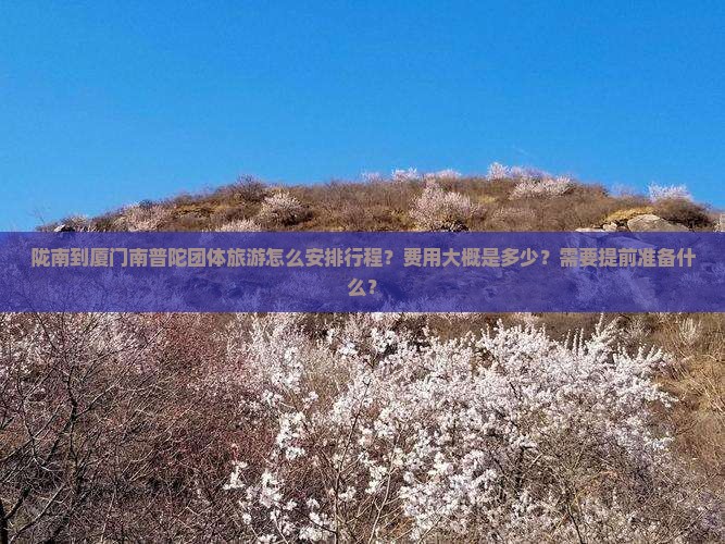 陇南到厦门南普陀团体旅游怎么安排行程？费用大概是多少？需要提前准备什么？