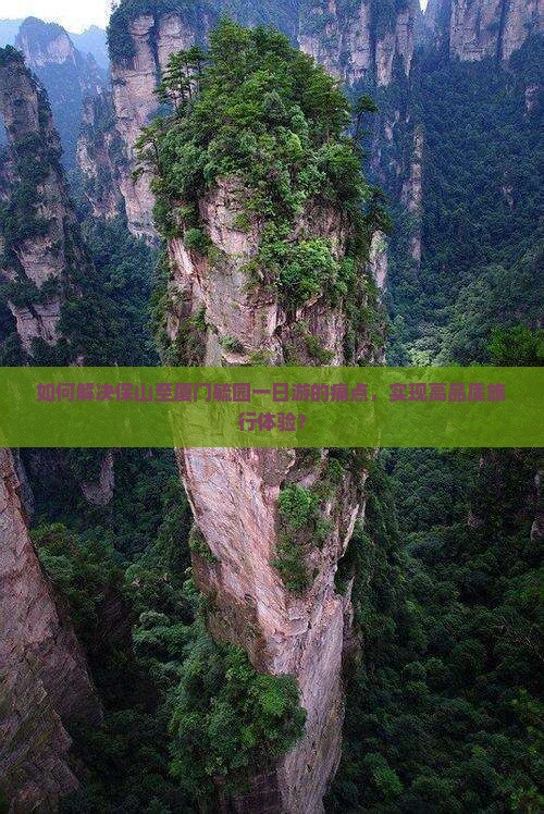 如何解决保山至厦门毓园一日游的痛点，实现高品质旅行体验？