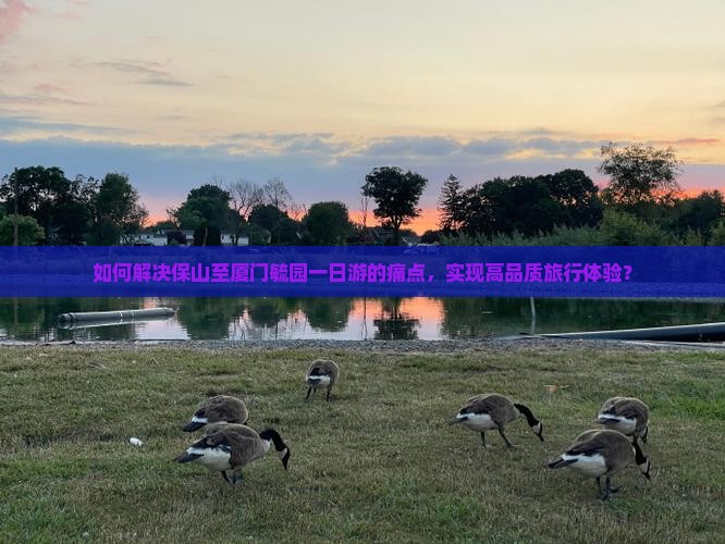 如何解决保山至厦门毓园一日游的痛点，实现高品质旅行体验？