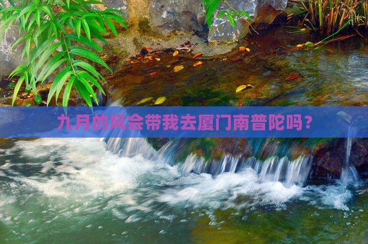 九月的风会带我去厦门南普陀吗？