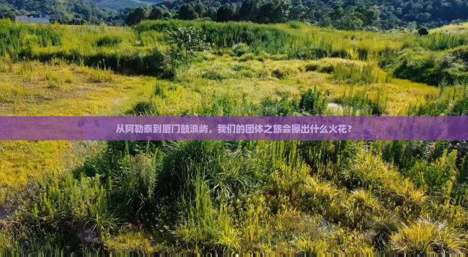 从阿勒泰到厦门鼓浪屿，我们的团体之旅会擦出什么火花？