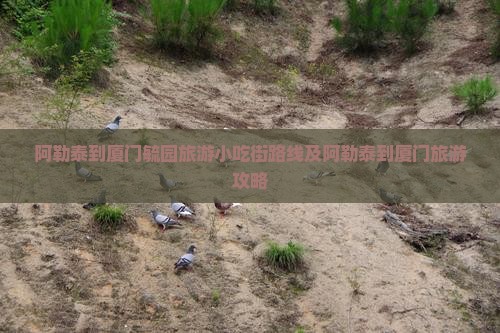 阿勒泰到厦门毓园旅游小吃街路线及阿勒泰到厦门旅游攻略