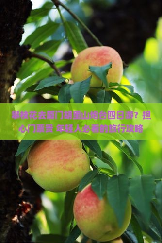 攀枝花去厦门胡里山炮台四日游？担心门票贵+年轻人必看的旅行攻略