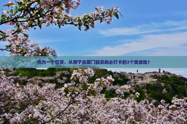 作为一个吃货，从南宁去厦门鼓浪屿必打卡的3个美食地？