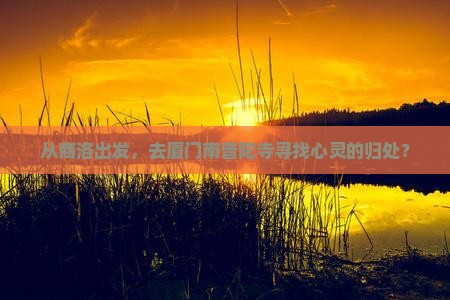 从商洛出发，去厦门南普陀寺寻找心灵的归处？