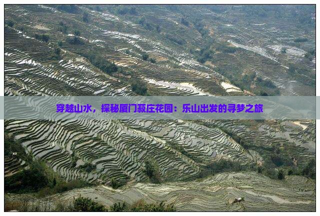 穿越山水，探秘厦门菽庄花园：乐山出发的寻梦之旅