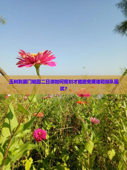 玉树到厦门毓园二日游如何规划才能避免拥堵和排队困扰？