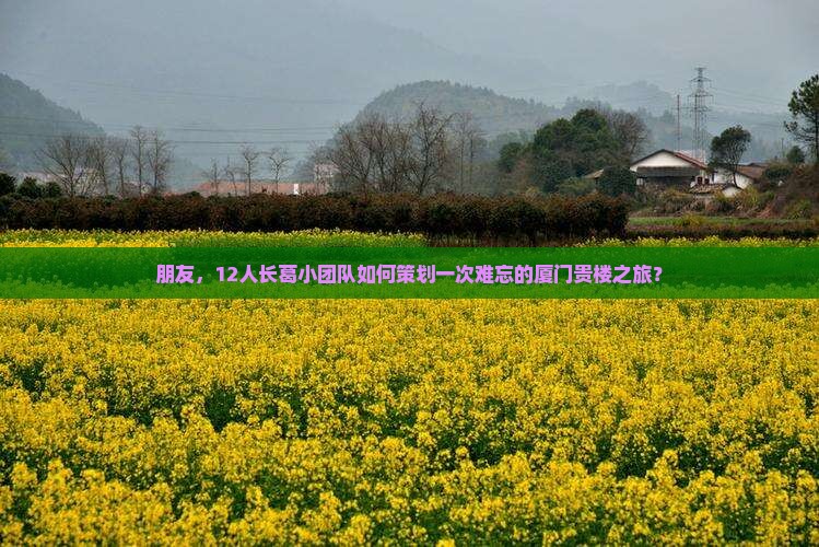 朋友，12人长葛小团队如何策划一次难忘的厦门贵楼之旅？