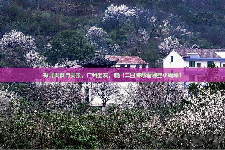探寻美食与美景，广州出发，厦门二日游藏着哪些小确幸？