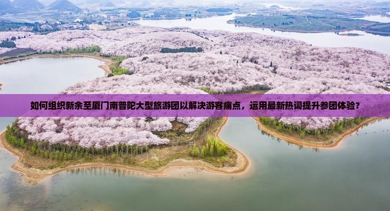 如何组织新余至厦门南普陀大型旅游团以解决游客痛点，运用最新热词提升参团体验？