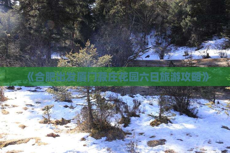 《合肥出发厦门菽庄花园六日旅游攻略》
