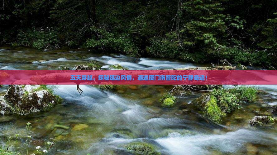 五天穿越，探秘延边风情，邂逅厦门南普陀的宁静奇迹！