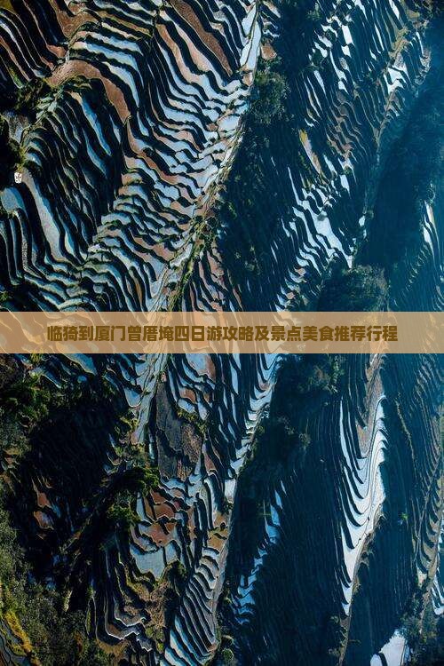 临猗到厦门曾厝埯四日游攻略及景点美食推荐行程