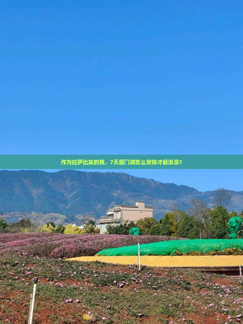 作为拉萨出发的我，7天厦门游怎么安排才最浪漫？