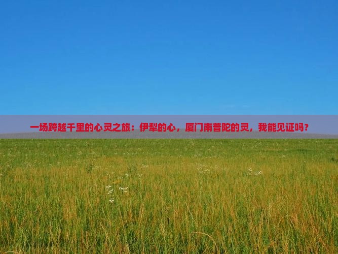 一场跨越千里的心灵之旅：伊犁的心，厦门南普陀的灵，我能见证吗？