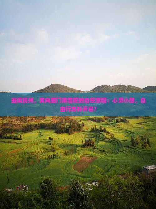 逃离抚州，奔向厦门南普陀的自在旅程：心灵小憩，自由行怎样开启？
