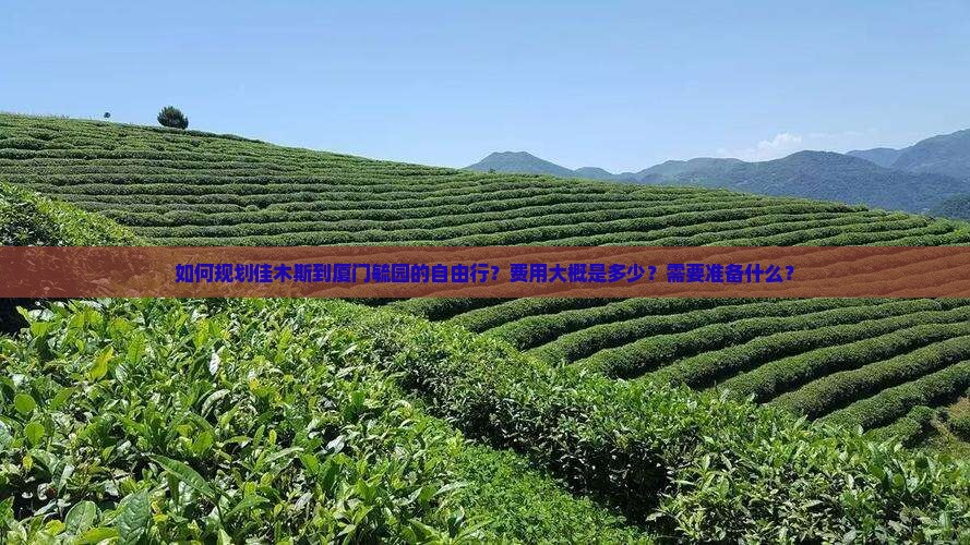 如何规划佳木斯到厦门毓园的自由行？费用大概是多少？需要准备什么？