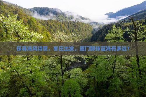 探寻海风诗意，枣庄出发，厦门那抹蓝海有多远？