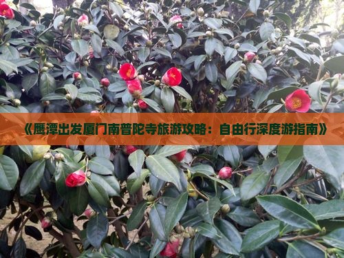 《鹰潭出发厦门南普陀寺旅游攻略：自由行深度游指南》