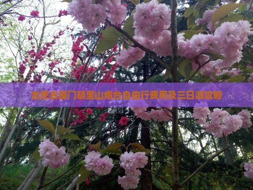 合肥去厦门胡里山炮台自由行费用及三日游攻略