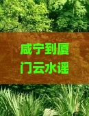 咸宁到厦门云水谣五日游怎么安排行程？需要多少费用？有哪些必去景点？
