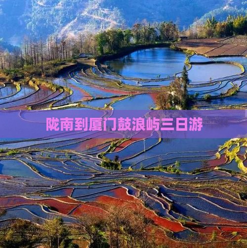 陇南到厦门鼓浪屿三日游