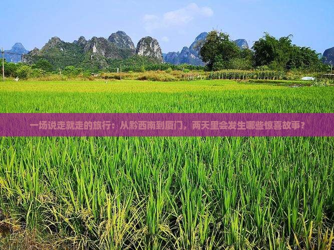 一场说走就走的旅行：从黔西南到厦门，两天里会发生哪些惊喜故事？