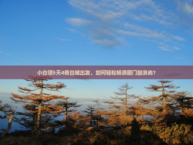小白领5天4夜白城出发，如何轻松畅游厦门鼓浪屿？