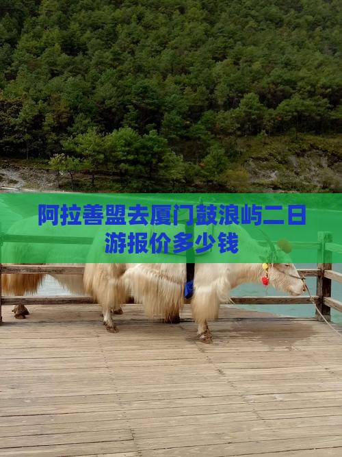 阿拉善盟去厦门鼓浪屿二日游报价多少钱