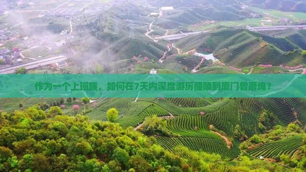 作为一个上班族，如何在7天内深度游历醴陵到厦门曾厝埯？