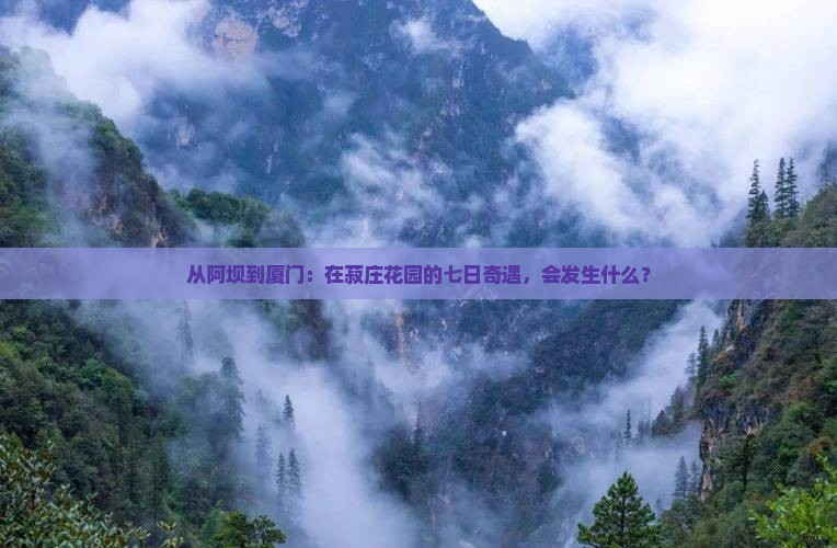 从阿坝到厦门：在菽庄花园的七日奇遇，会发生什么？