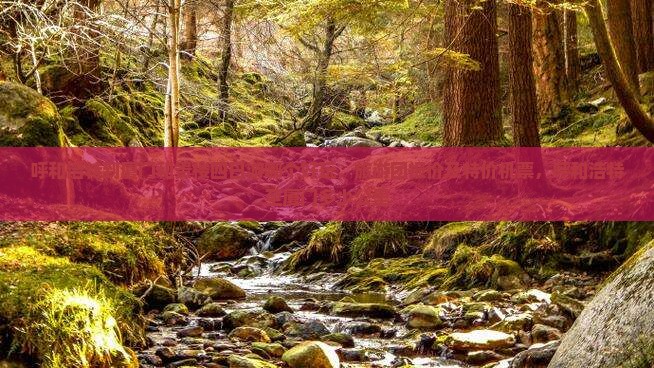 呼和浩特到厦门和贵楼四日游哪个好玩，旅游团报价及特价机票，呼和浩特至厦门多少公里