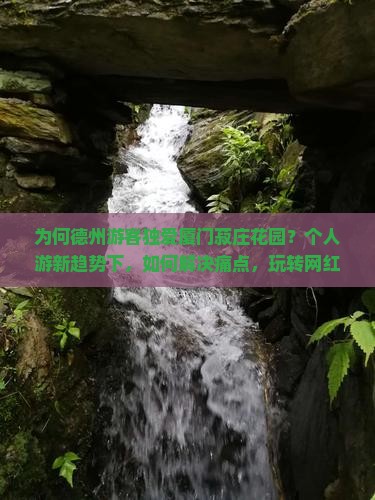 为何德州游客独爱厦门菽庄花园？个人游新趋势下，如何解决痛点，玩转网红打卡地？