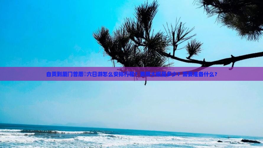 自贡到厦门曾厝垵六日游怎么安排行程？费用大概是多少？需要准备什么？