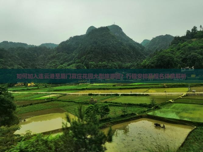 如何加入连云港至厦门菽庄花园大型旅游团？行程安排及报名详情解析