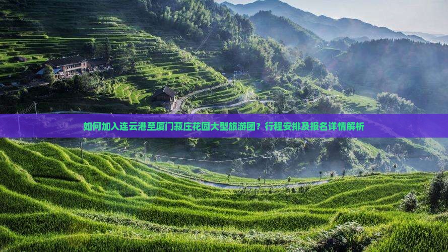 如何加入连云港至厦门菽庄花园大型旅游团？行程安排及报名详情解析