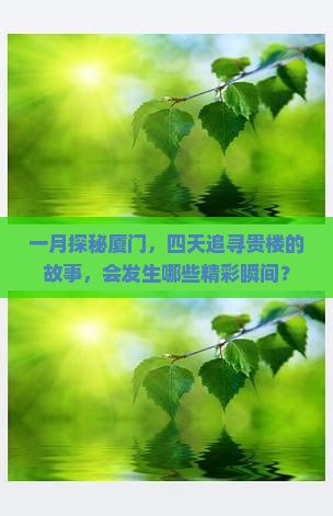 一月探秘厦门，四天追寻贵楼的故事，会发生哪些精彩瞬间？