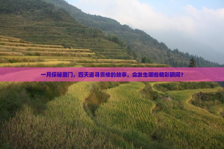 一月探秘厦门，四天追寻贵楼的故事，会发生哪些精彩瞬间？