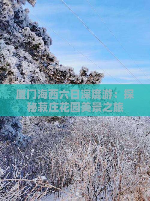 厦门海西六日深度游：探秘菽庄花园美景之旅