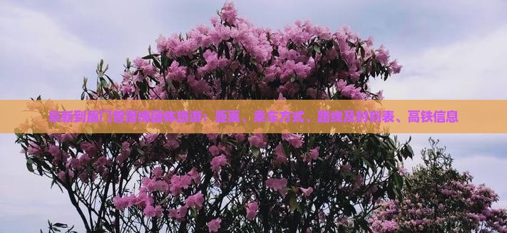 阜新到厦门曾厝埯团体旅游：距离、乘车方式、路线及时刻表、高铁信息