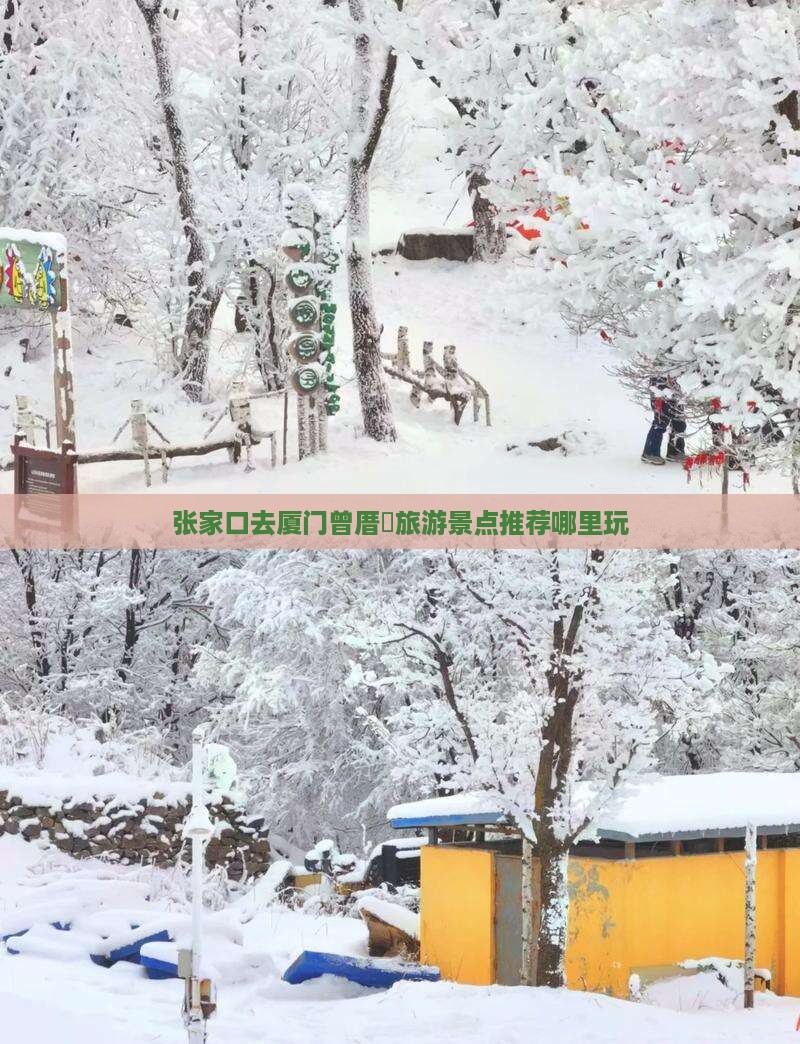 张家口去厦门曾厝垵旅游景点推荐哪里玩