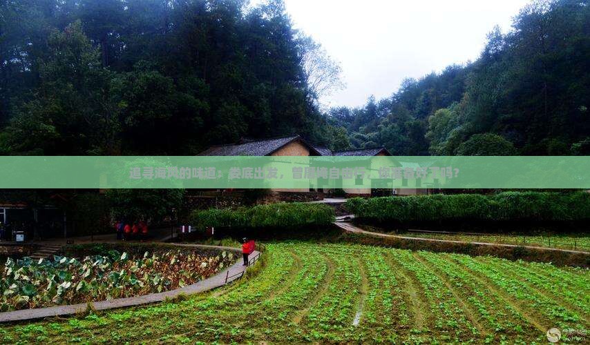 追寻海风的味道：娄底出发，曾厝埯自由行，你准备好了吗？
