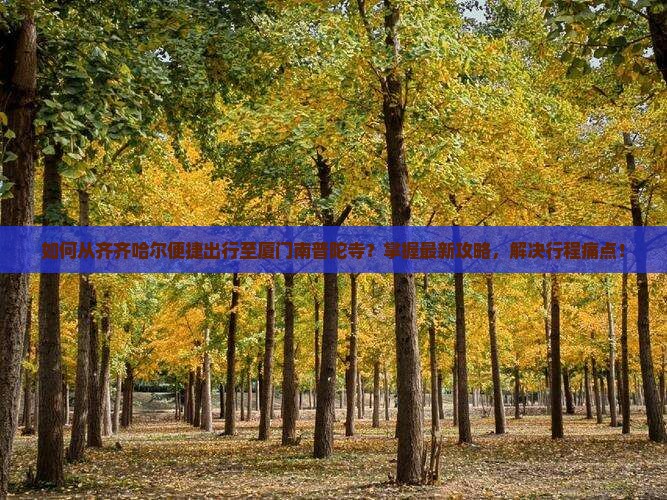 如何从齐齐哈尔便捷出行至厦门南普陀寺？掌握最新攻略，解决行程痛点！